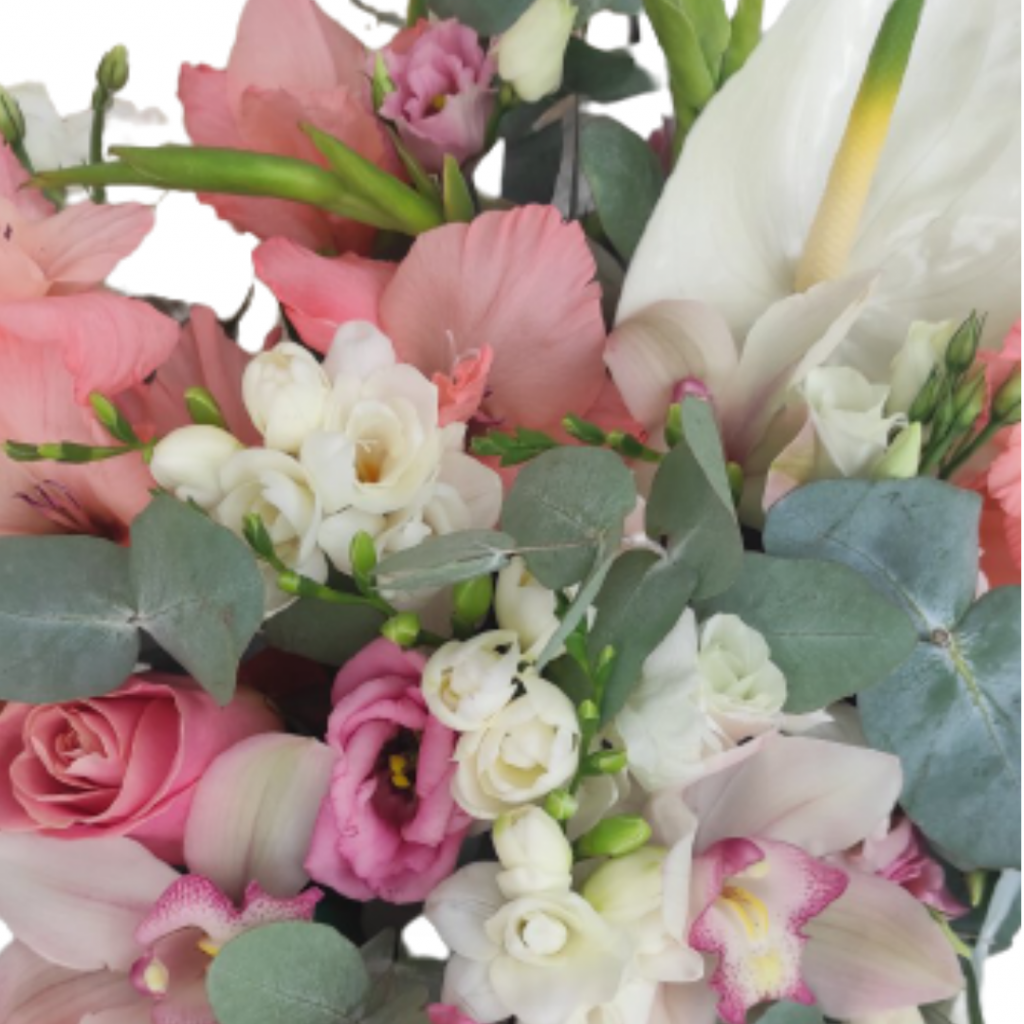 Flowershopmontenegro | Savršena - Flowershopmontenegro